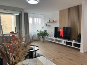 Dvojizbový apartmán v centre